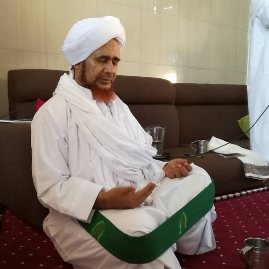 Habwa Floor Seating Back Support (Green Xtra Large)